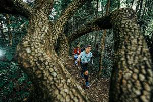 BIB: 
                            <button type="button" onclick="openModal(25392626)" class="btn btn-primary btn-sm float-right btn-popup" data-toggle="modal" data-target=".modal-high-quality">
                        <i class="fas fa-shopping-cart"></i> Add to Cart
                    </button>
                                            <button type="button" onclick="isThisMe(25392626, true)" class="btn btn-success btn-sm float-right btn-popup btn-isme hidden" data-toggle="tooltip" data-placement="bottom" title="นี่คือรูปของคุณใช่ไหม คลิกที่นี่เพื่อเอาเข้าอัลบั้ม">
                        <i class="fas fa-plus"></i> Add to album
                    </button>
                    <button type="button" onclick="isThisMe(25392626, false)" class="btn btn-warning btn-sm float-right btn-popup btn-isnotme hidden">
                        <i class="fas fa-ban"></i> Remove from album
                    </button>